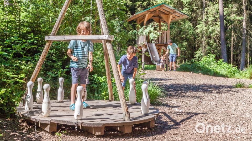 Es gibt hier unter anderem ein begehbares Vogelhaus, ein Labyrinth, einen Weiher mit Fähre und einen Spielplatz. Bild: Oberpfälzer Wald, Norbert Eimer