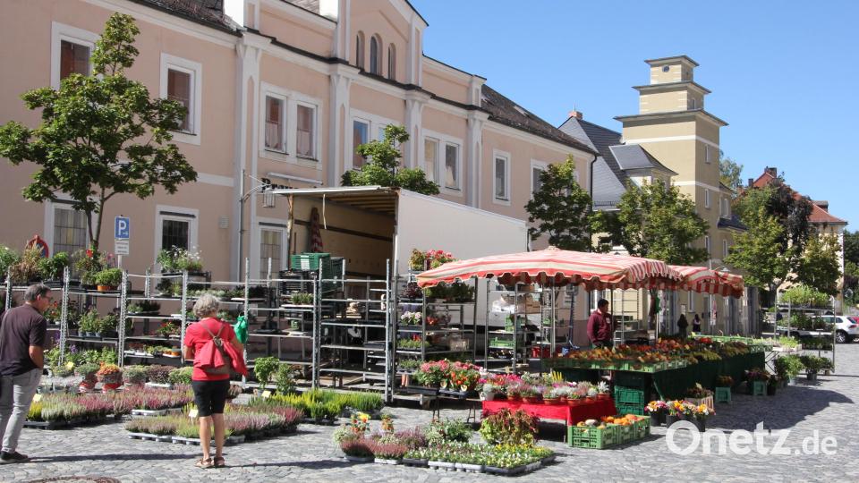 Gartenbau Zöcklein aus Burgebrach war mit einem großen Areal an Blumen, Pflanzen, Gemüse und Obst in Waldsassen vertreten. Bild: Konrad Rosner