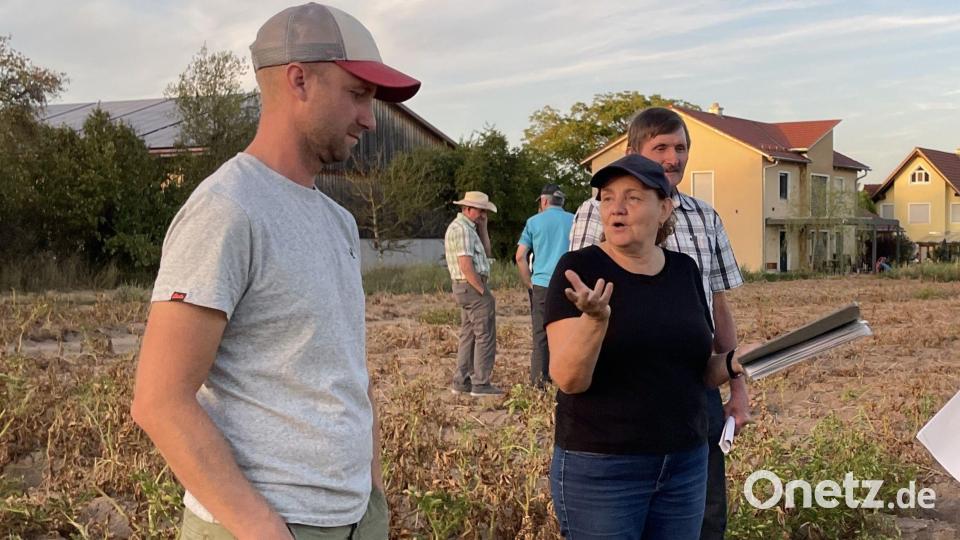 Theresia Addokwei vom AELF (Mitte) im Gespräch mit Landwirt Simon Obermeier (links). Bild: Armin Hofbauer/AELF Regensburg-Schwandorf