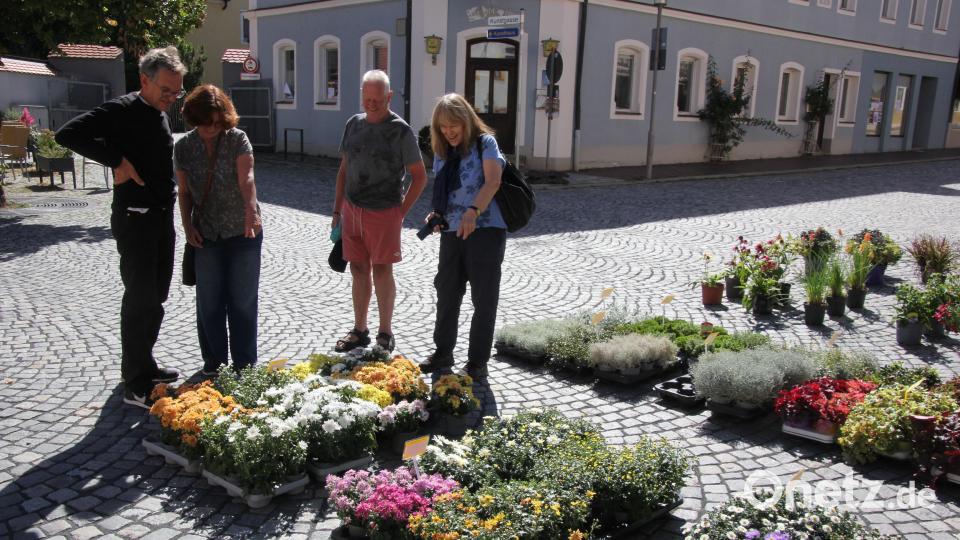Diese vier Urlauber aus Erding, die auf der Durchreise waren, spazierten durch den Herbstmarkt in Waldsassen. Bild: Konrad Rosner