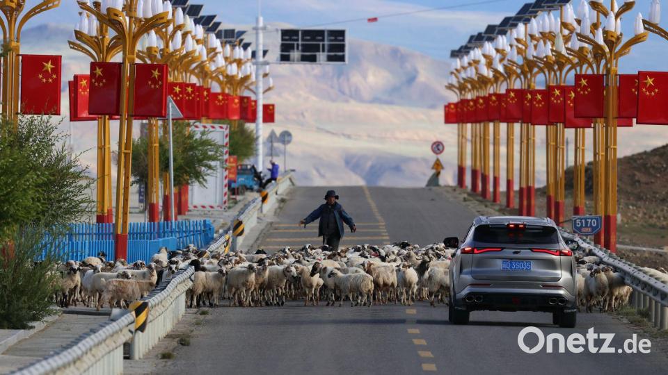 Shigatse (Tibet): Kurzer Stopp auf der Straße – Hirte lotst Schafherde zur Seite Bild: Tingshu Wang/Pool Reuters/AP/dpa