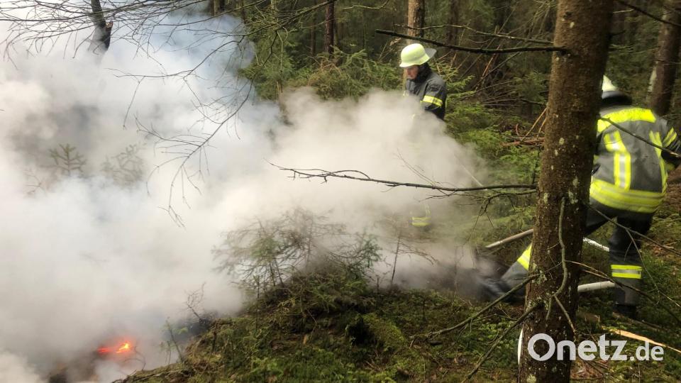 Ein ausgedehnter Torfbrand ruft die Feuerwehr im Waldgebiet zwischen Weiden und Parkstein auf den Plan. Bild: Feuerwehr Weiden