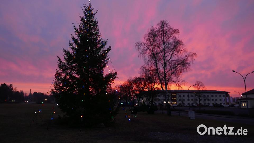 Weihnachtsbaum in den Towerbarracks im Morgenrot. Bild: mor