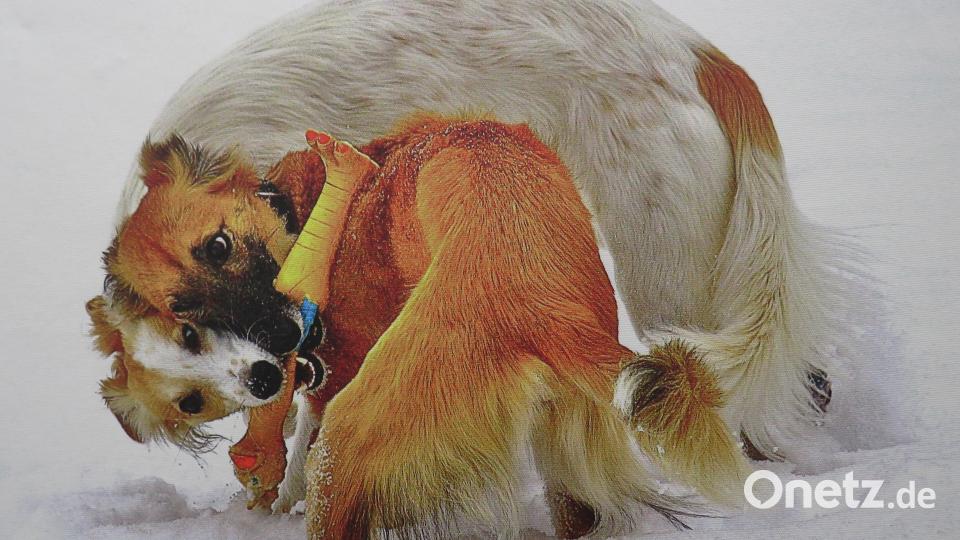 Fotograf Jürgen Klein nimmt gerne seine beiden attraktiven Windhunde als "Fotomodels" her. Die Ergebnisse sind wunderschöne Bilder, die Gemälden gleichen. Bild: ubb