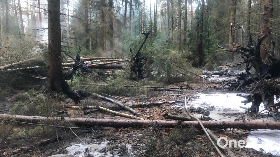 Waldbrand zwischen Weiden und Parkstein. Bild: Feuerwehr Weiden