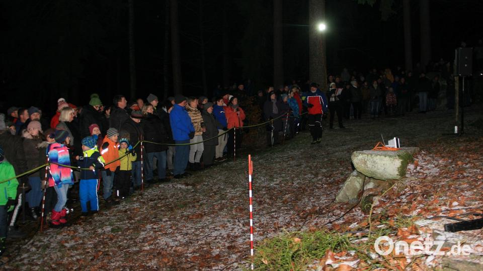 Die Gelegenheit, einen Feiertagsspaziergang in den Wald zu unternehmen, wurde von vielen gerne genutzt. Bild: wro