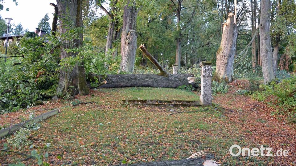 „Fabienne“ wirbelt durch die Region. Besonders Grafenwöhr sowie Alt- und Neuzirkendorf bei Kirchenthumbach sind betroffen. Die Bäume der Kirchenthumbacher Kreuzweg-Allee knickt der Sturm um wie Streichhölzer. Bild: ü