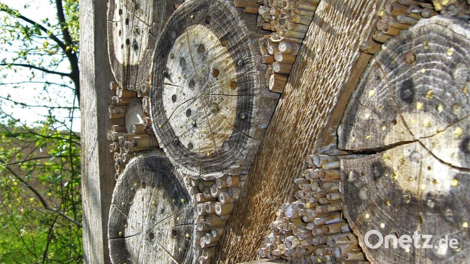 „Wildbienenhotels“, wie dieses am Naturerlebnisweg Klingenbachtal, sind nicht der rettende Strohhalm beim derzeit grassierenden Insektensterben. Ein Volksentscheid könnte da viel mehr bewirken. Bild: jml