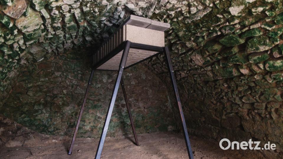 Im Inneren der Keller finden die Fledermäuse sichere Schlafmöglichkeiten. Bild: David Rieß, ALE Oberpfalz
