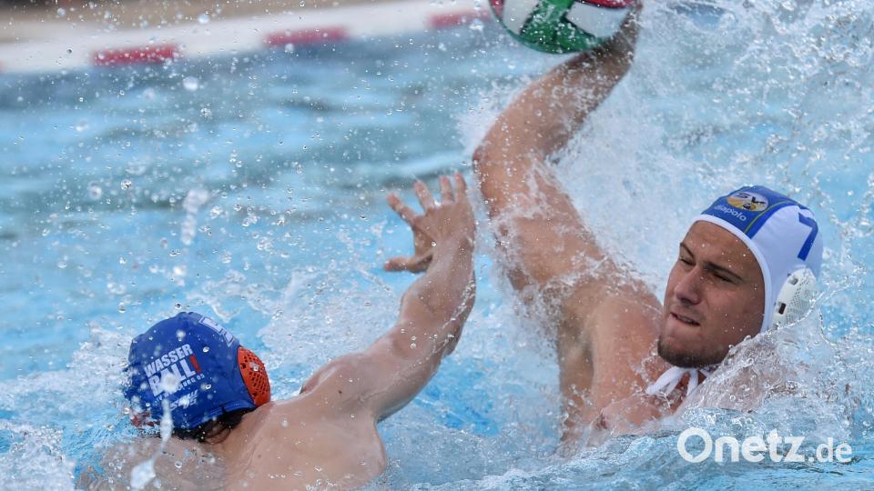 Top: Und sie machen es wieder: Die Wasserballer des SV Weiden sind zurück in der Bundesliga. Mit ehrgeizigem Trainer, jungen Gesichtern und ganz viel Herzblut. Jungs, lasst euch nicht vom suboptimalen Saisonstart beeindrucken: Ihr schafft den Klassenerhalt! (Alfred Schwarzmeier) Bild: A. Schwarzmeier
