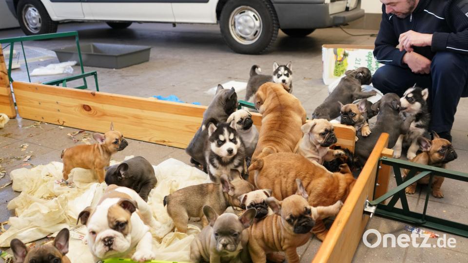 Die Bundespolizei heizte extra die Garage, damit kein Hund frieren musste. Rechts im Bild Bundespolizist Alexander Scheck. Bild: Franz Völkl