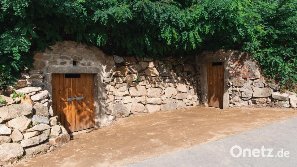 Insgesamt drei Erdkeller wurden fachgerecht umgebaut. Bild: David Rieß, ALE Oberpfalz