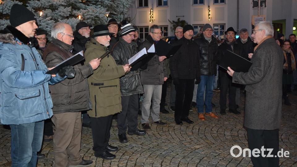 Der Männergesangverein Mitterteich unter der Leitung von Eduard Bauer. Bild: jr