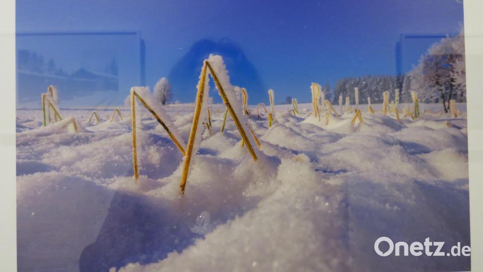 Aus der Sicht der Mäuschen hat Vorsitzender Stefan Weiß ein winterliches Feld fotografiert. Bild: ubb