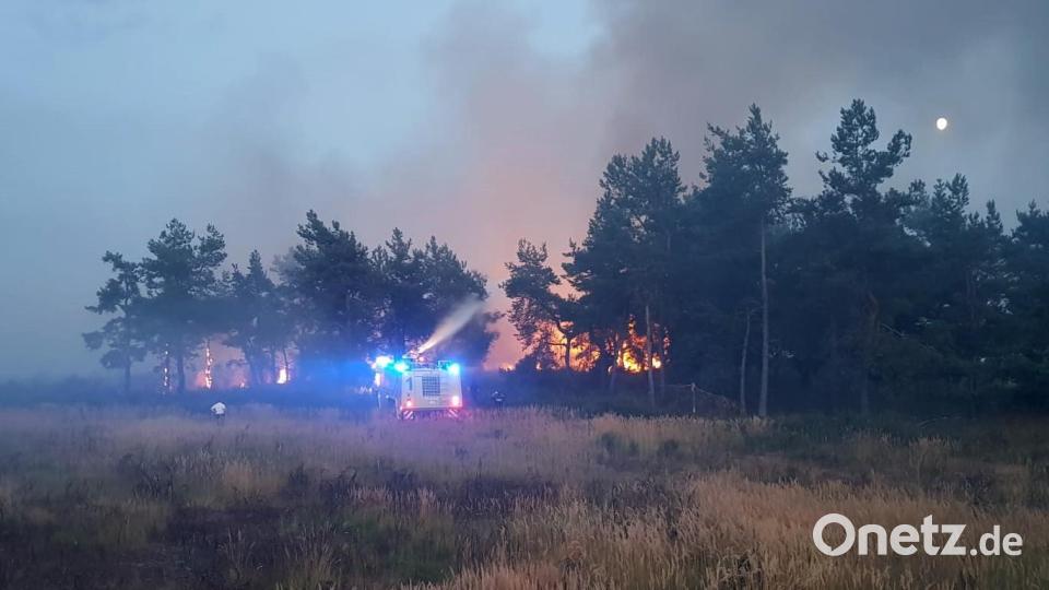 Gras, Ginster und dürres Buschwerk fallen den Flammen im Truppenübungsplatz zum Opfer. Bild: mor