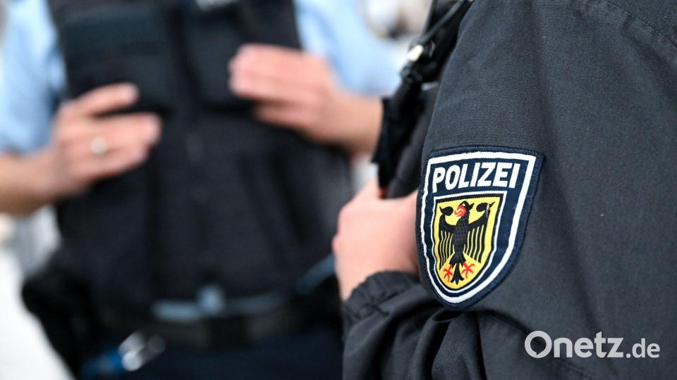 Die Bundespolizei hat die Welpen am Dienstagabend sichergestellt. (Symbolbild) Bild: Sven Hoppe/dpa