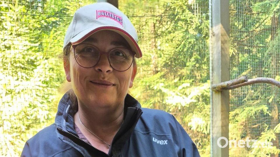 Die Eulen nähmen die Wälder der Region nicht nur als Lebensraum an, sondern pflanzten sich dort auch fort, sagt Michaela Domeyer. Bild: Johannes Bradtka/VLAB/dpa