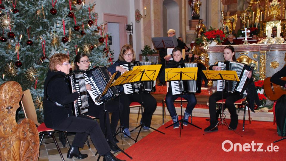 Mitglieder des 1. Waldsassener Akkordeonorchesters während des Weihnachtskonzerts. Bild: enz