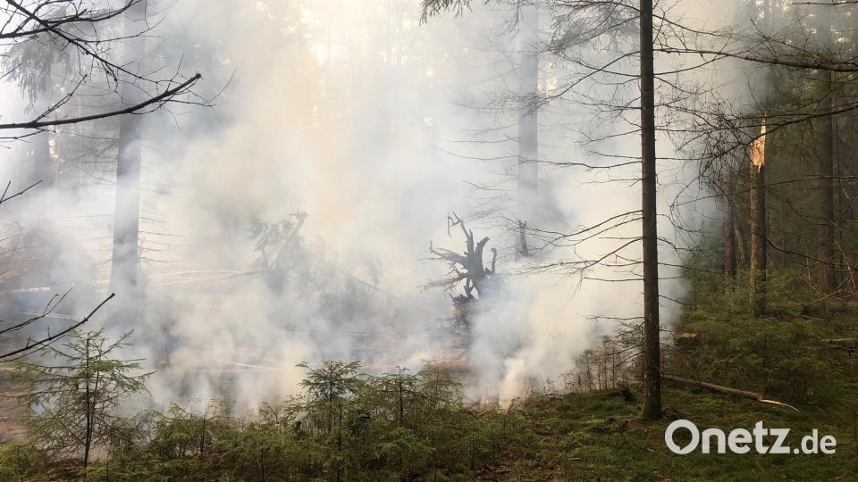 Waldbrand zwischen Weiden und Parkstein. Bild: Feuerwehr Weiden