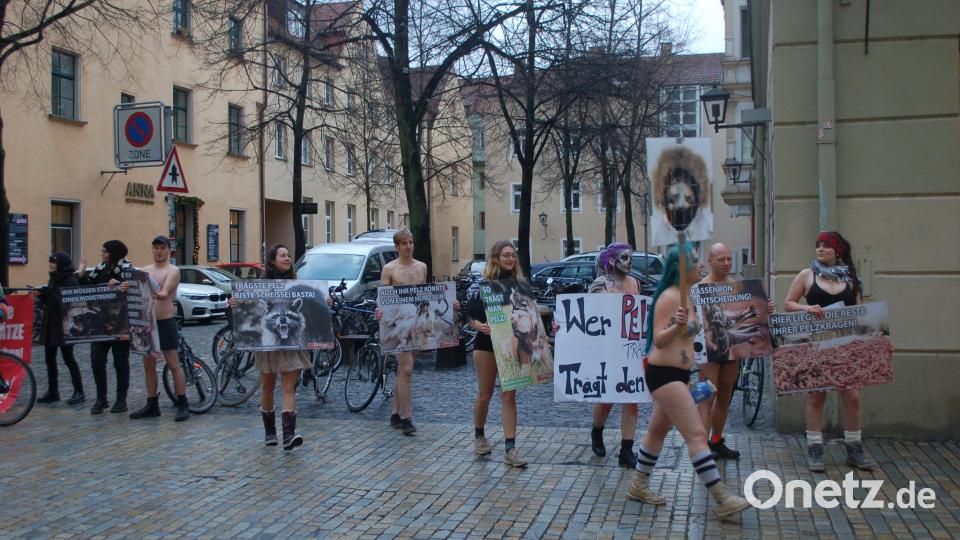 Mit Plakaten demonstrierten Tierschützer gegen das Tragen von Pelz. Bild: gib