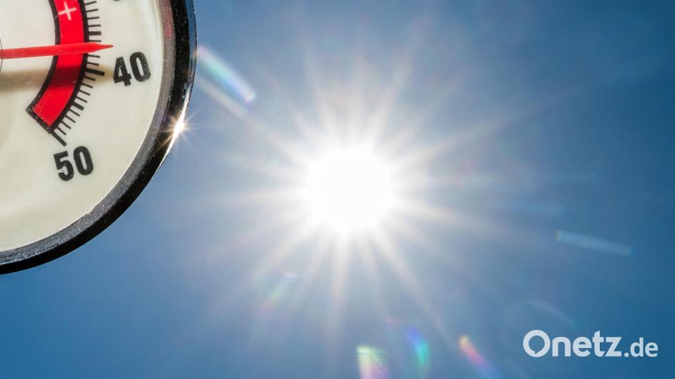 Flop: Der Super-Sommer 2018: Nicht nur Landwirte verzweifelten, auch die Platzwarte vieler Fußballvereine in der Region verfluchten die anhaltende Hitze und Trockenheit. Statt auf saftigem Grün kickten die Fußballer auf Staubwüsten. So mancher Klub musste richtig viel Geld in die Hand nehmen, um seine ausgedörrten Fußballplätze wieder auf Vordermann zu bringen. (Alfred Schwarzmeier) Bild: Patrick Pleul/dpa
