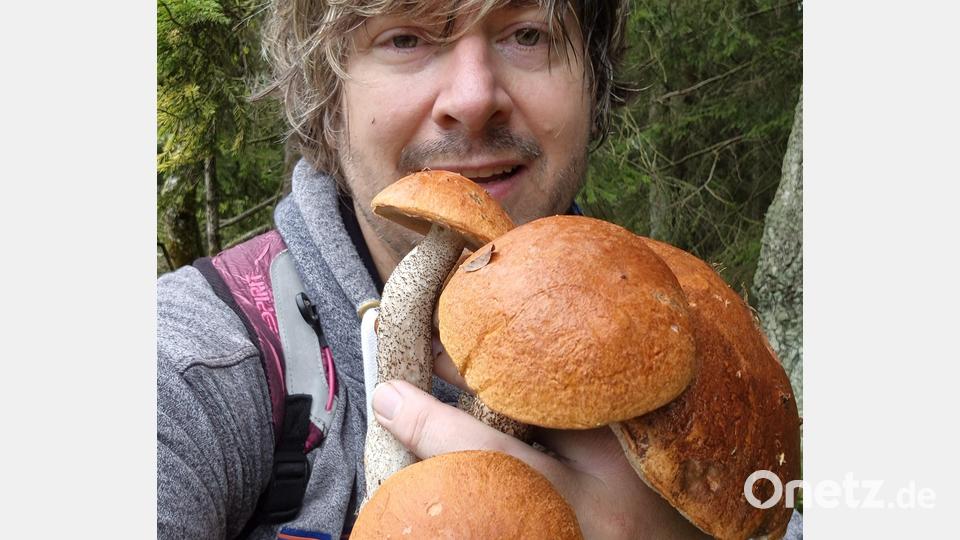 In den Korb von Dirk-Felix Lang wanderten auch mehrere Birkenrotkappen. Bild: Dirk-Felix Lang