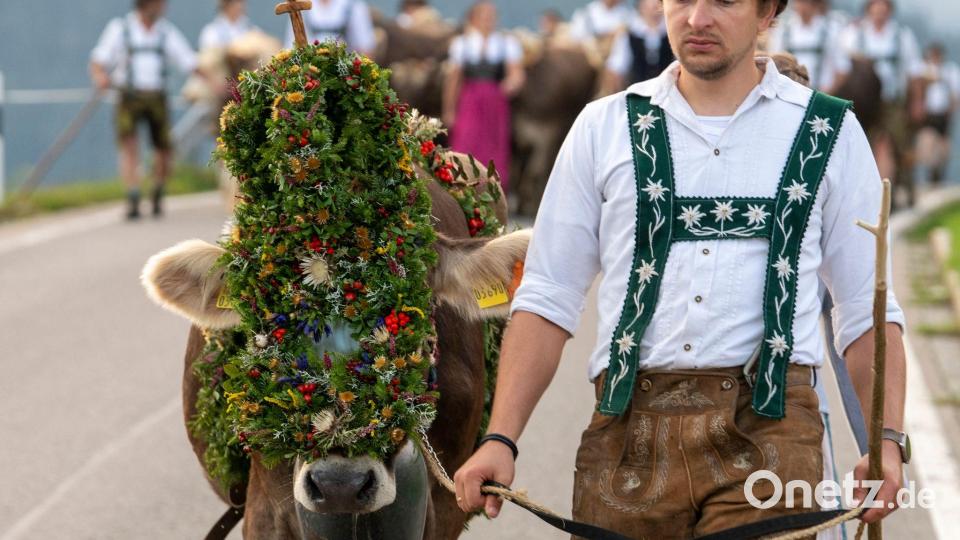 Zum Viehscheid werden die Kühe teils besonders geschmückt. Es ist in einigen Gegenden längst ein volksfestähnliches Spektakel. Bild: Stefan Puchner/dpa