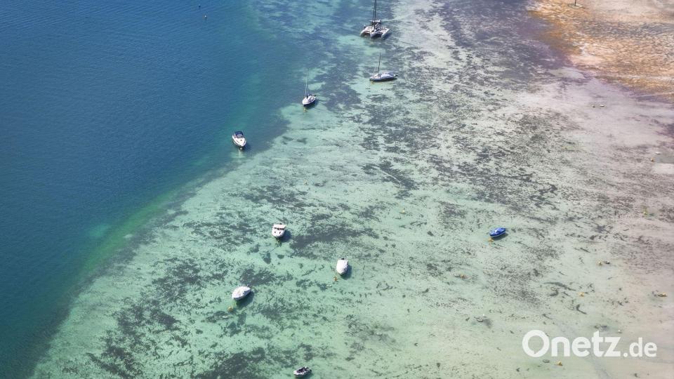 Boote liegen im flachen Wasser am Ufer des Bodensees. Bild: Marius Bulling/onw-images/dpa