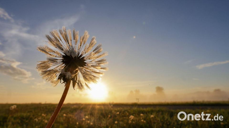Ein wunderschöner Sonnenaufgang im Spätsommer. Bild: Thomas Warnack/dpa