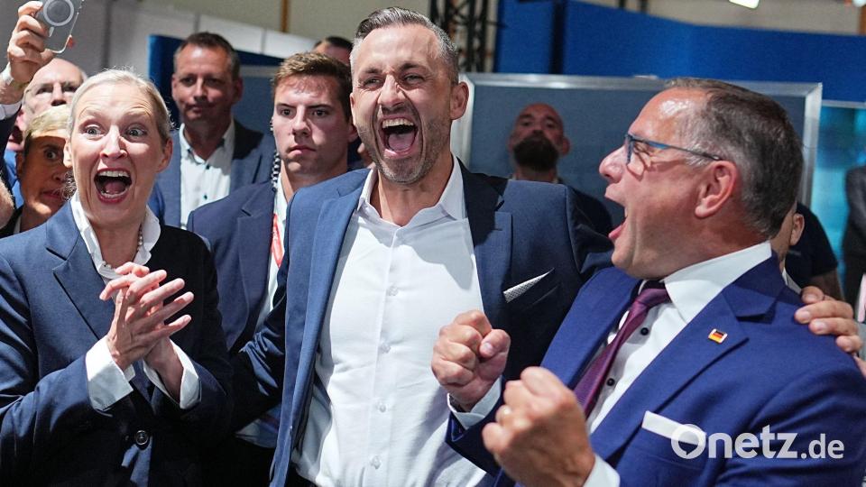 Manches, was die AfD in ihrem Wahlprogramm in Sachsen-Anhalt als Ziel hat, fällt nicht in den Verantwortungsbereich der Länder. (Archivbild) Bild: Michael Kappeler/dpa