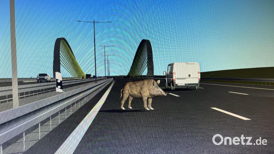 Während der Übung im Verkehrstrainingssimulator können zum Beispiel Wildschweine plötzlich auf die Straße laufen. Bild: hop
