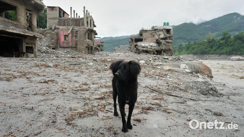 Der Klimawandel transformiere die Hochgebirgsregion und beeinflusse dabei viele der möglichen Ursachen für solche Katastrophen, sagt Mitautor Clarke. (Archivbild) Bild: Rajesh Kumar Singh/AP/dpa