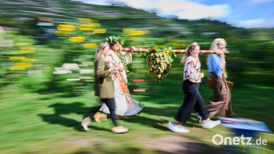 Die sächsischen Weinhoheiten tragen die gebundene Kalebstraube durch den Weinberg von Friedrich Aust. Bild: Robert Michael/dpa