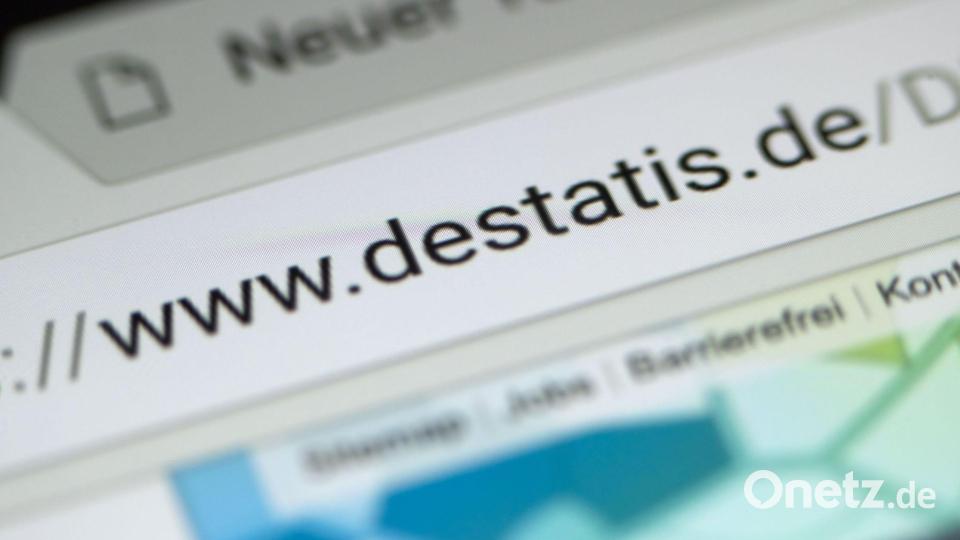 Basis der Befunde ist die Haushaltsbefragung Mikrozensus. (Symbolbild) Bild: Jens Büttner/dpa-Zentralbild/dpa