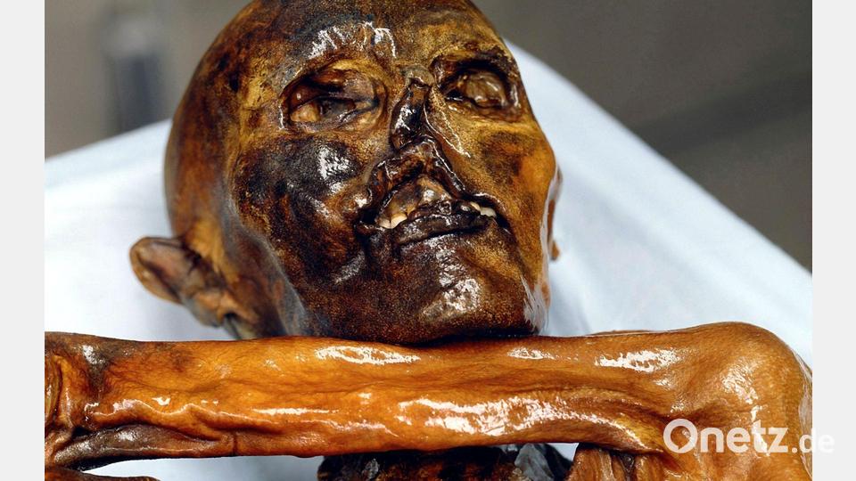Ötzi ist aus Sicht der Wissenschaft ein faszinierendes Bild: picture alliance / dpa