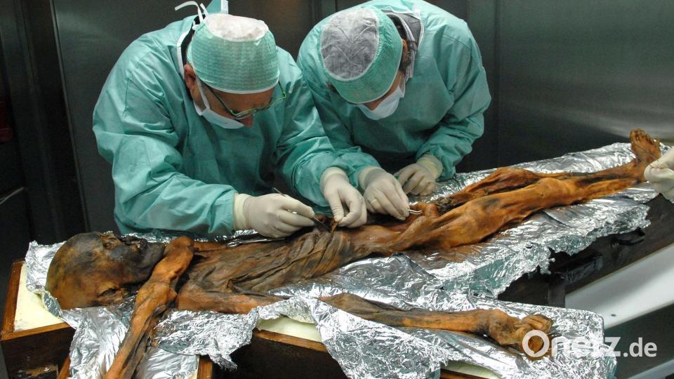 Ötzi wurde hundertfach untersucht Bild: M.Samadelli/Southtyrolarchaeologymuseum\Eurac via Eurekalert/dpa
