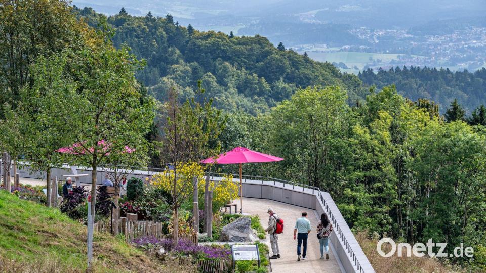2023 war Freyung Ausrichter der Landesgartenschau. (Archivbild) Bild: Armin Weigel/dpa