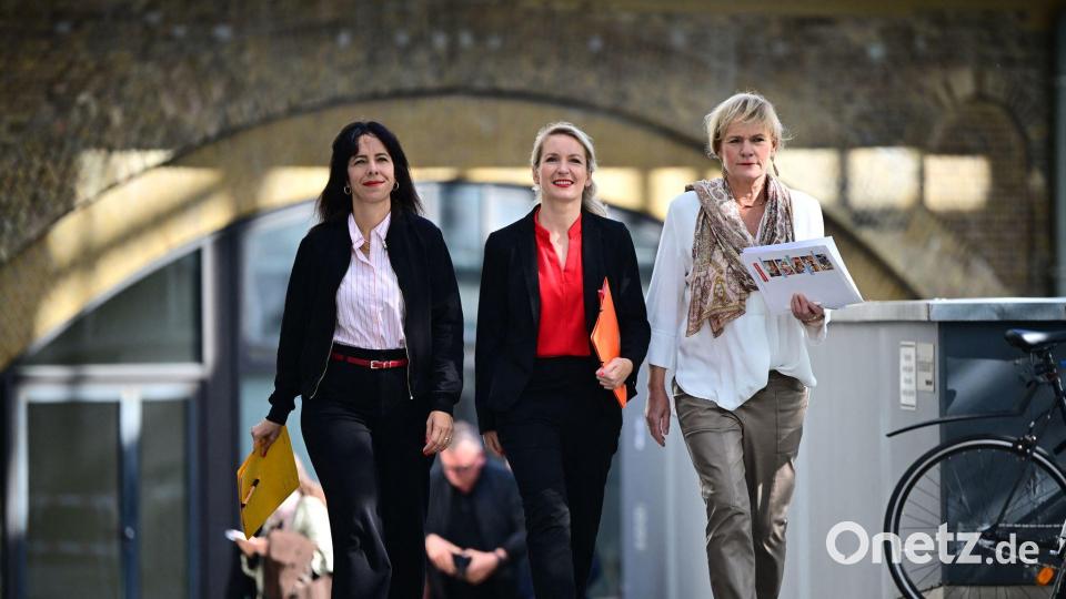 Bundespressekonferenz in Berlin: Linke-Spitze mit Eralp, Schwerdtner und Oldenburg nach Wahlen in Berlin und MV Bild: Sebastian Gollnow/dpa