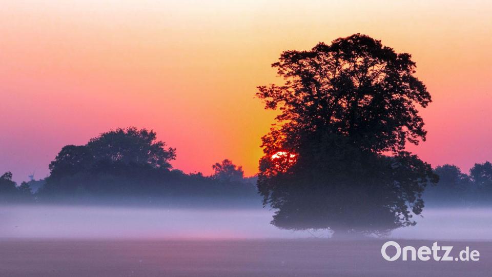 Zum Herbstanfang noch viel Sonnenschein und milde Temperaturen Bild: Jens Büttner/dpa-Zentralbild/dpa