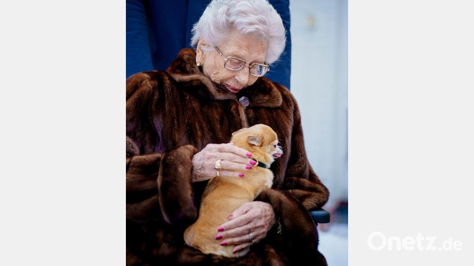 Der Chihuahua-Mischling stammt aus einer Auffangstation. (Archivbild) Bild: Stian Lysberg Solum/NTB/dpa