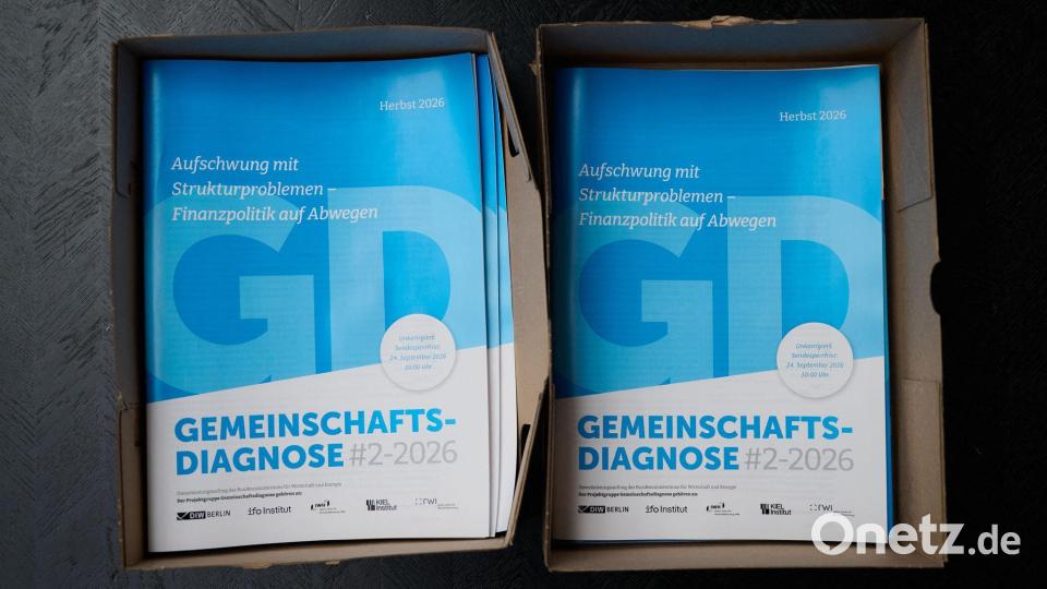 Die Gemeinschaftsdiagnose wird im Frühjahr und im Herbst von Wirtschaftsforschungsinstituten veröffentlicht. Bild: Sebastian Christoph Gollnow/dpa