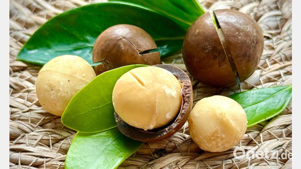 Macadamia-Nüsse haben eine buttrige, fast cremige Konsistenz. Bild: Carola Frentzen/dpa