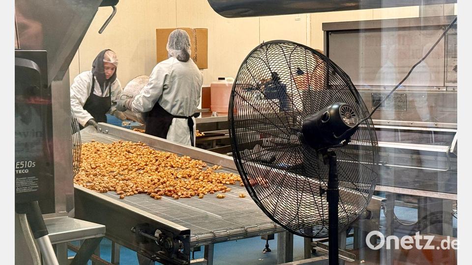 Interessenten können bei Nutworks beobachten, wie die Macadamia-Nüsse verarbeitet werden. Bild: Carola Frentzen/dpa