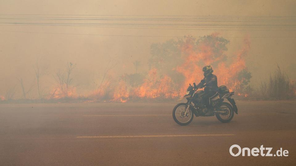 Zahlreiche Waldbrände wüten in der Region. Bild: Suamy Beydoun/dpa