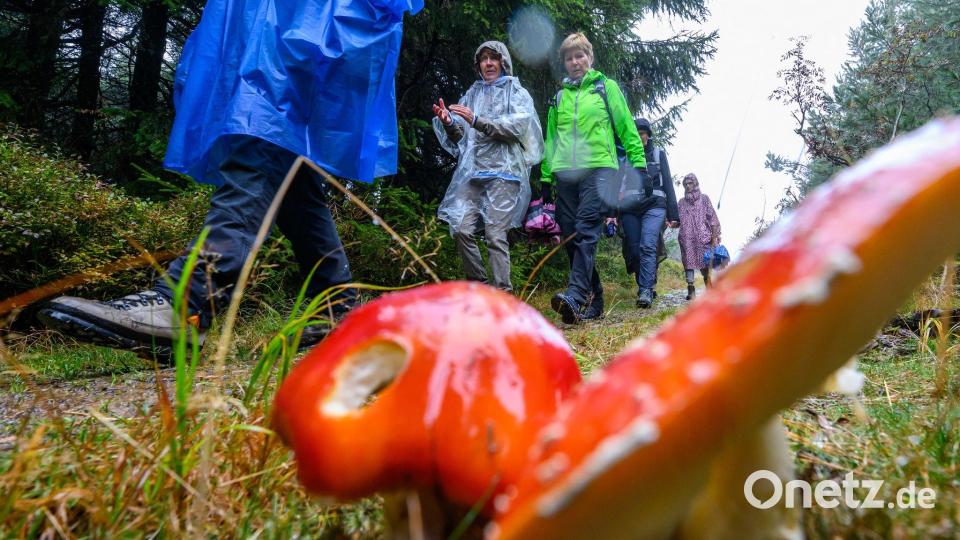 Oberwiesenthal: Wanderfreunde starten trotz Wind und Regen in den 123. Deutschen Wandertag am Fichtelberg Bild: Hendrik Schmidt/dpa