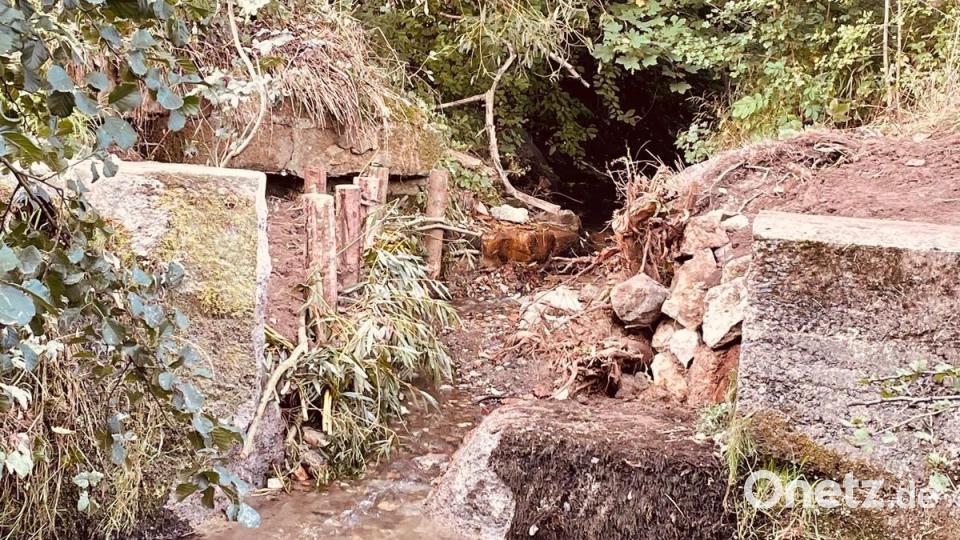Die Staustufe wurde teilweise entfernt und das Wasser mit gesetzten Pfosten und Weidenruten neu geleitet. Bild: Rainer Knoll