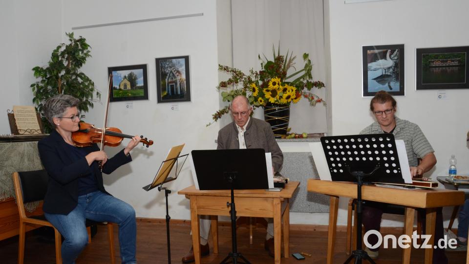 Anja Stecker, eine gebürtige Pleysteinerin an der Violine, sowie Albert Sommer und Daniel Riebl aus Vohenstrauß an den Zithern hießen die Gäste musikalisch bei der langen Museumsnacht willkommen Bild: Elisabeth Dobmayer
