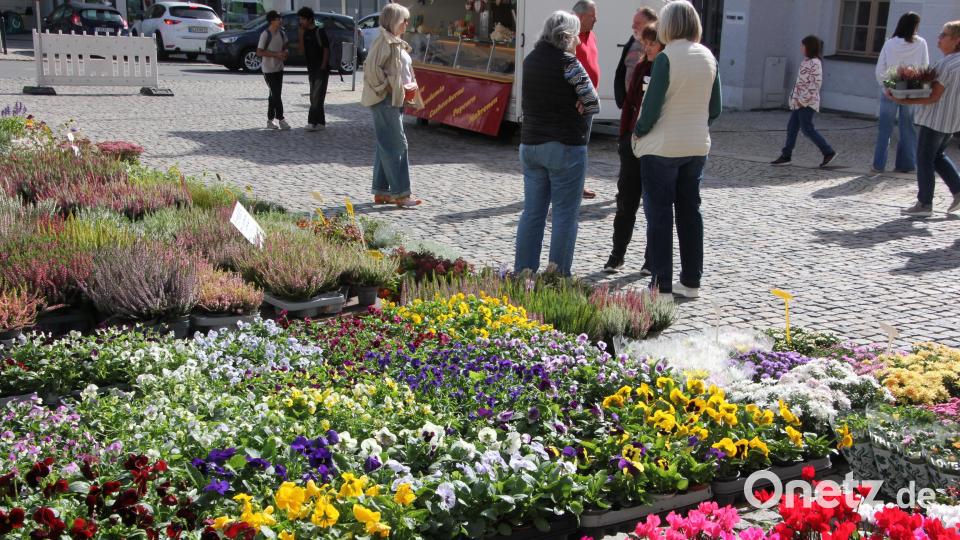 Es waren wesentlich mehr Blumen ausgestellt als Besucher kamen. Bild: Konrad Rosner