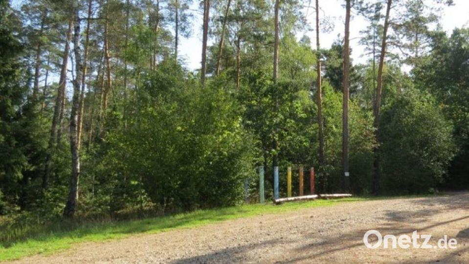Dieses Bild zeigt den Sportplatz in Edelsfeld, auf dem die Schüsse gefallen sein sollen. Ein 21-Jähriger wurde schwer an den Augen verletzt. Die Kriminalpolizei Amberg sucht nach Zeugen. Bild: Kriminalpolizeiinspektion Amberg