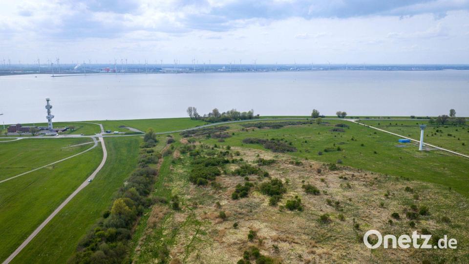 Seit Jahren gibt es Überlegungen von Stadt und Land, wie der Rysumer Nacken zur Entwicklung des Hafens genutzt werden kann. (Archivbild) Bild: Sina Schuldt/dpa